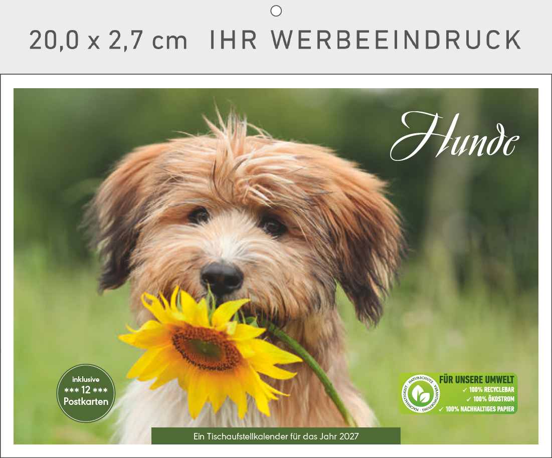 Hunde