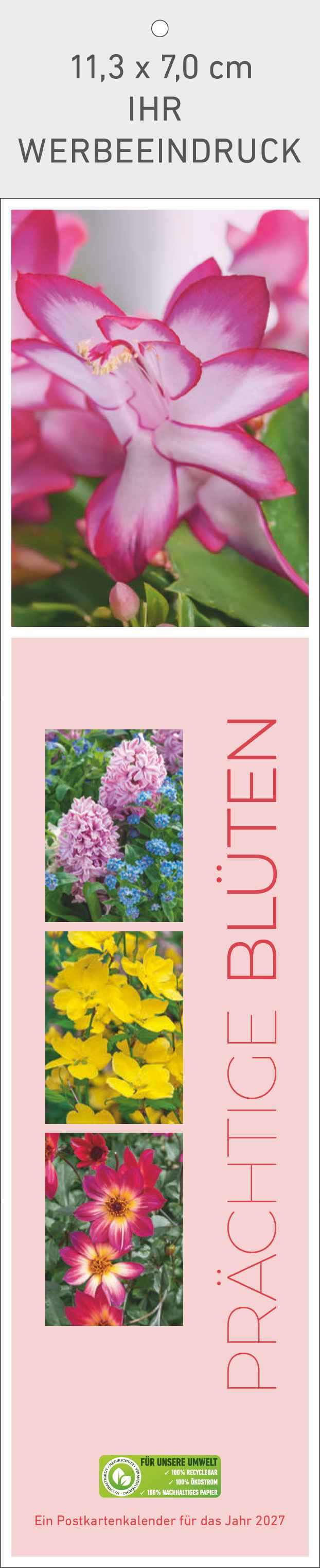 Prächtige Blüten