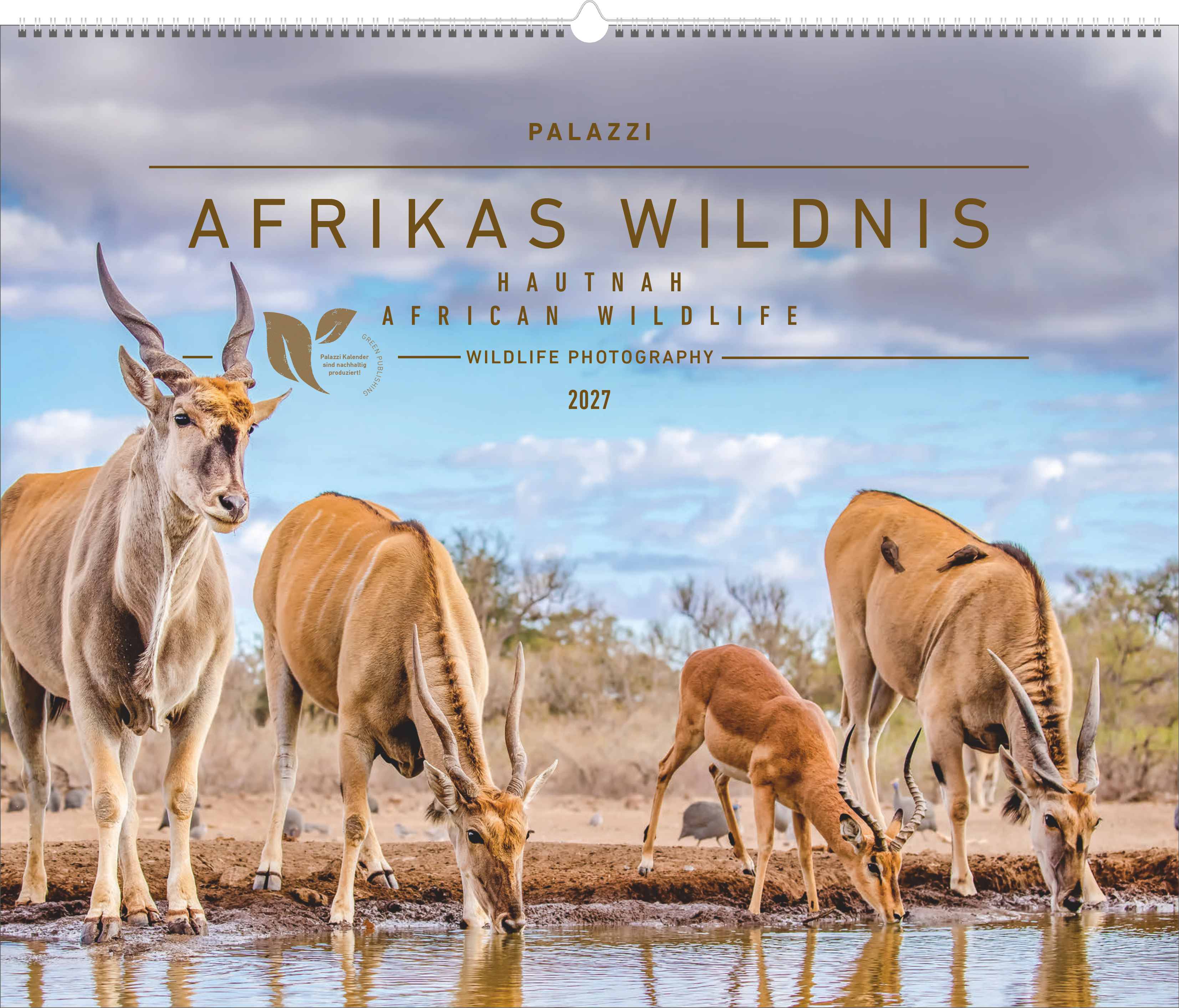 Hautnah - Afrikas Wildnis | WILDLIFE PHOTOGRAPHY